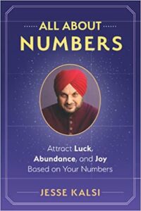 All About Numbers book by Jesse Kalsi